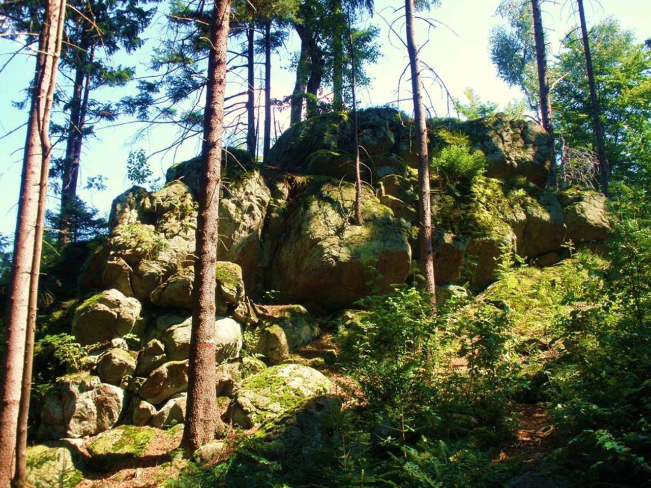 Ferienwohnungen Waldblick Waldmünchen Exterior foto