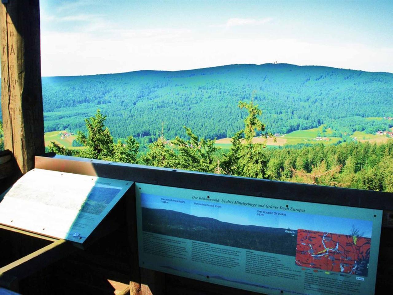 Ferienwohnungen Waldblick Waldmünchen Exterior foto