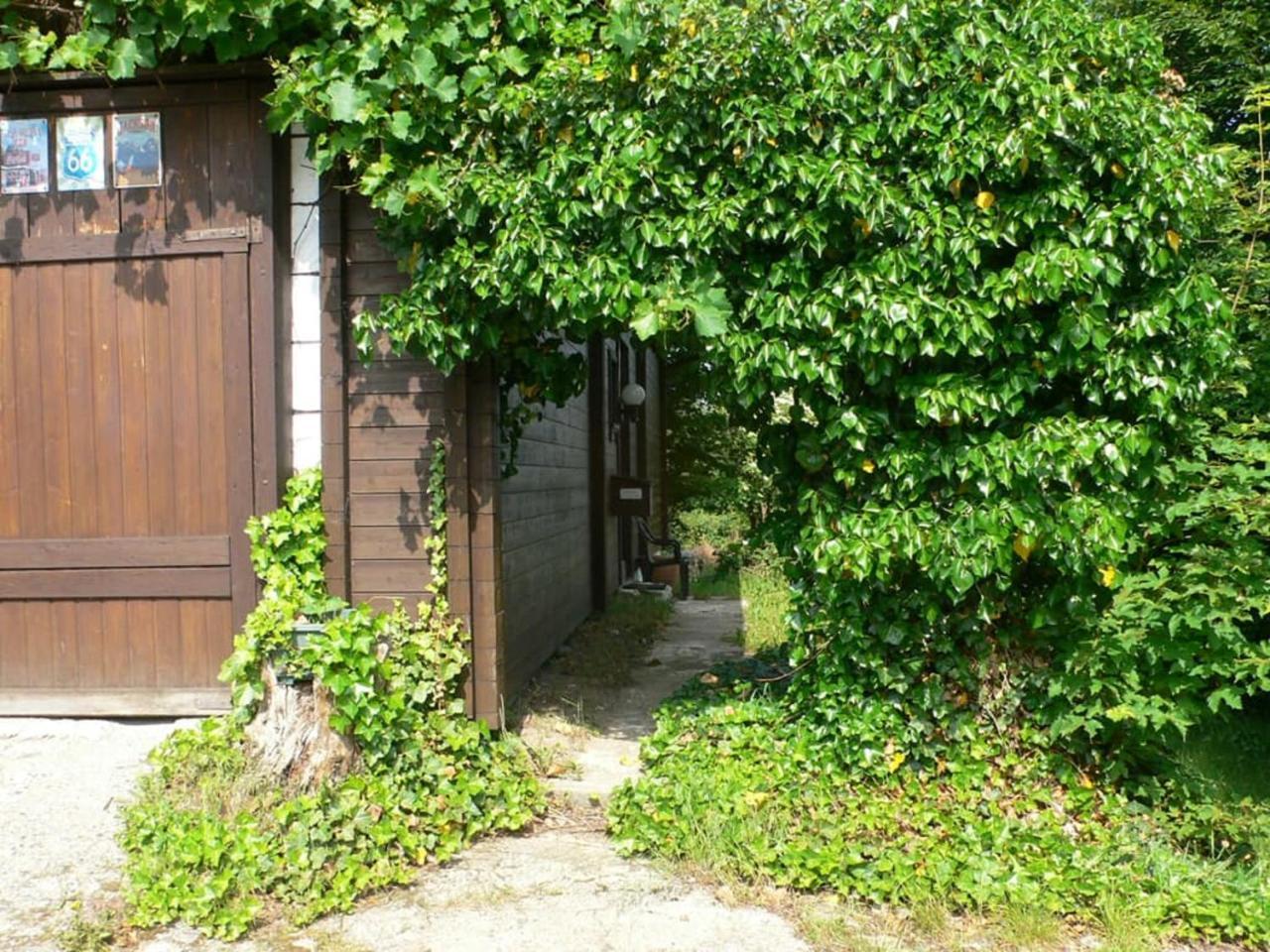 Ferienwohnungen Waldblick Waldmünchen Exterior foto